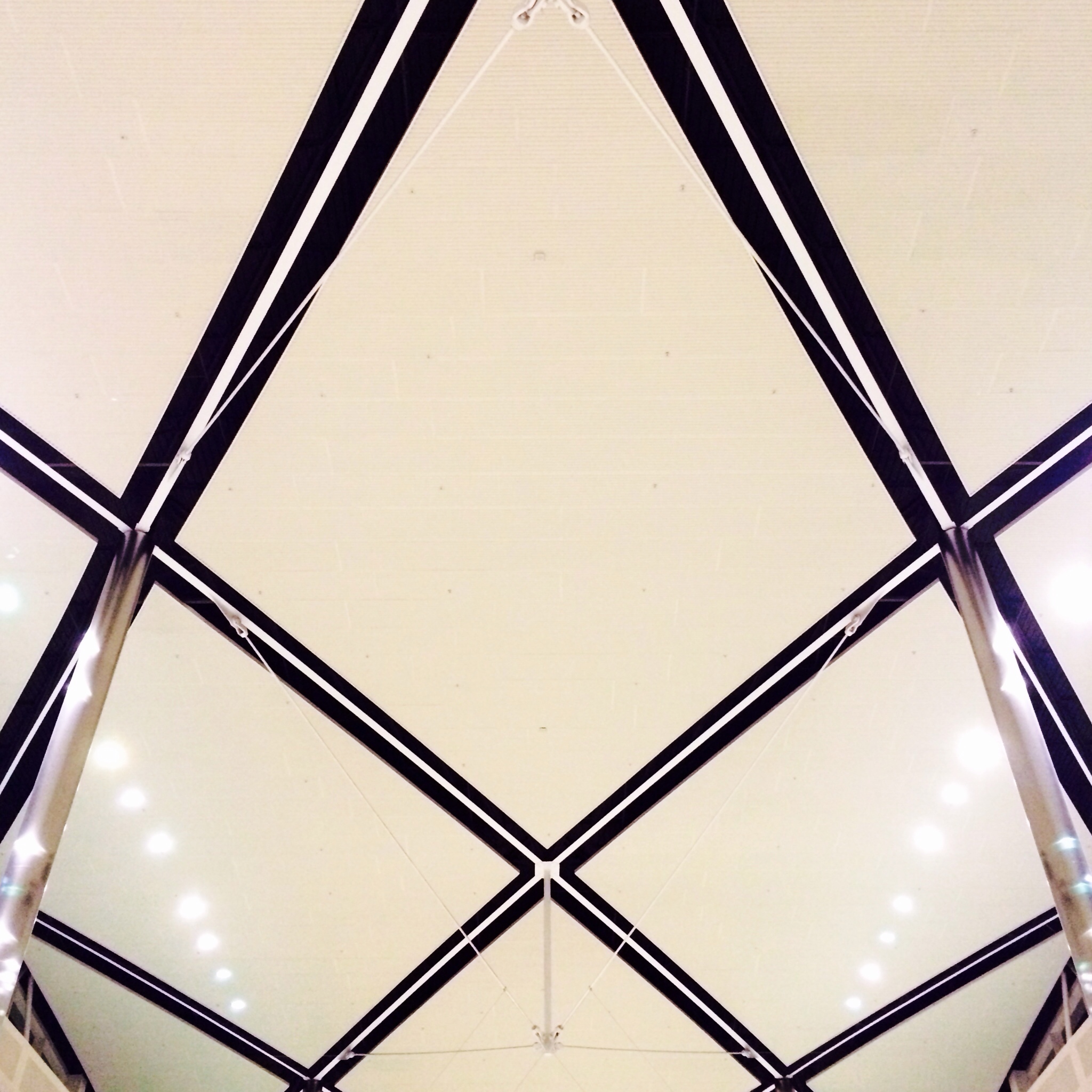 Detroit Metropolitan Wayne County Airport (DTW)