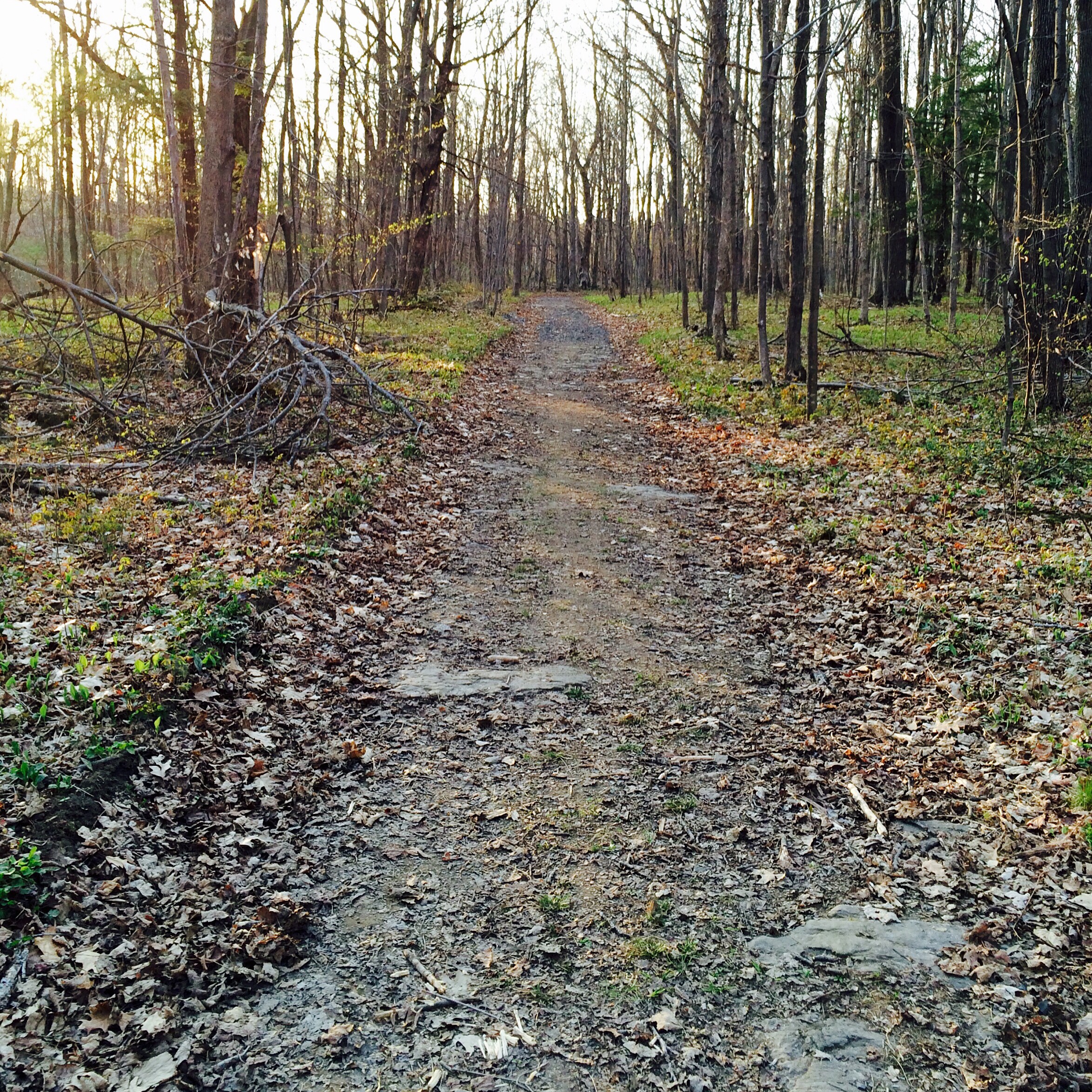 Pathway near Thacher Park
